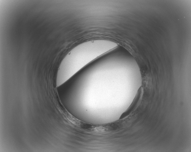 X0000065240423200602170959