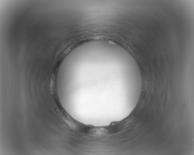 X0000065240427200602170959