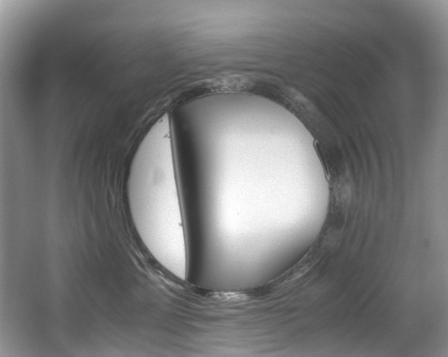 X0000065240429200602170959