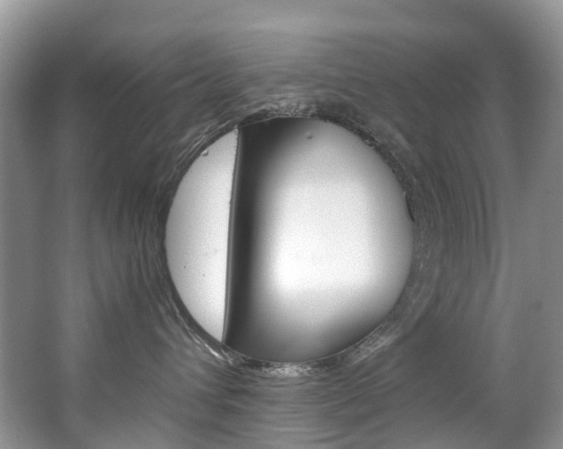X0000065240432200602170959