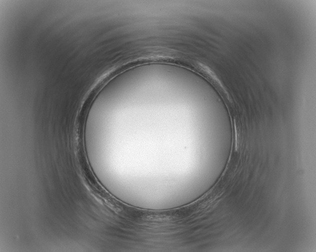 X0000065240435200602170958