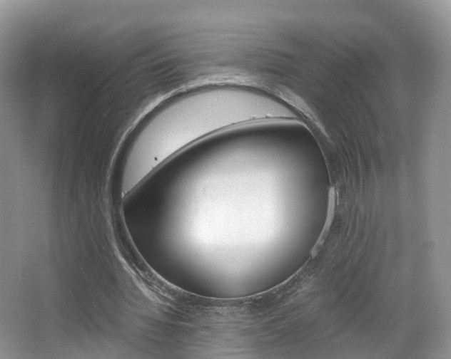 X0000065240436200602170958