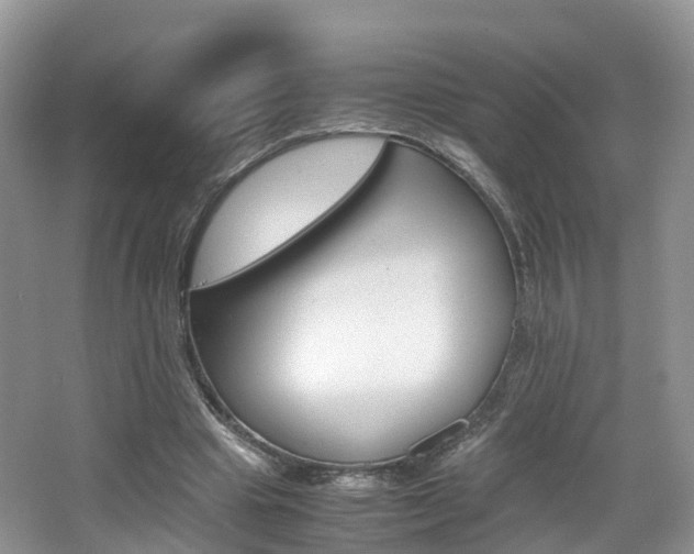 X0000065240441200602170958