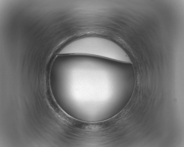 X0000065240444200602170959
