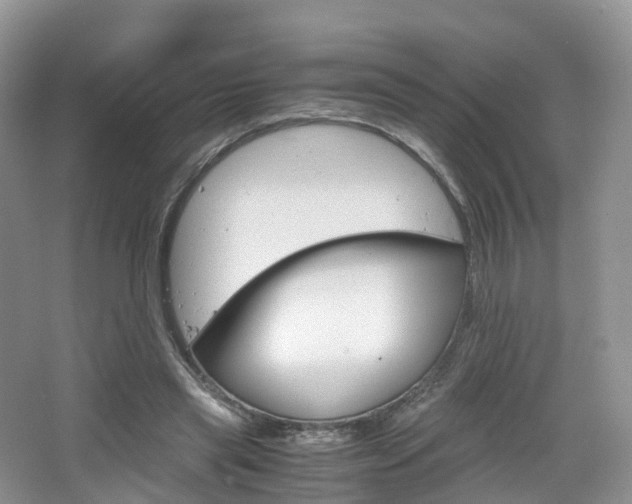 X0000065240445200602170959