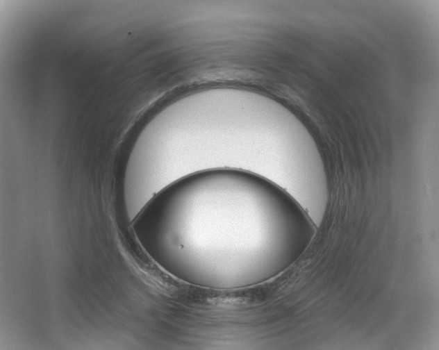 X0000065240448200602170959