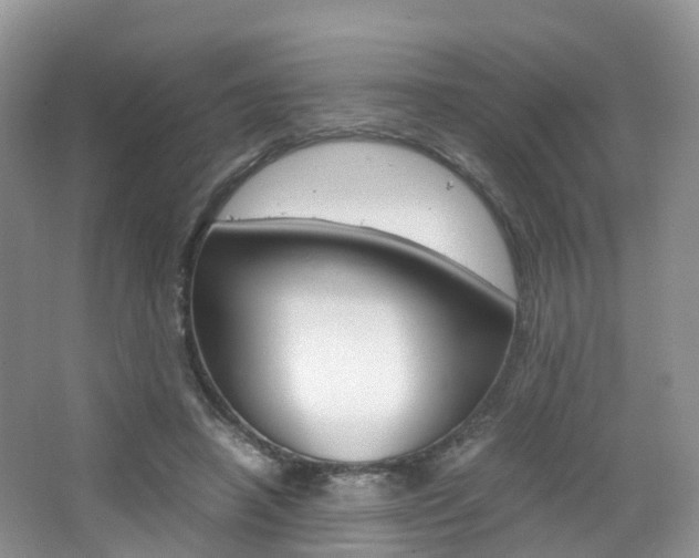 X0000065240450200602170959