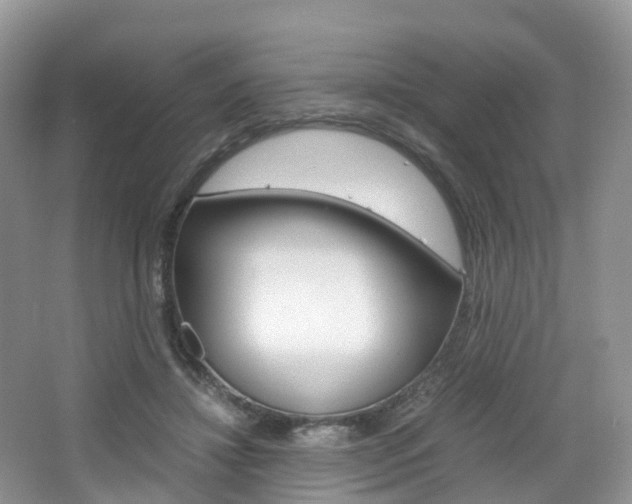 X0000065240452200602170959