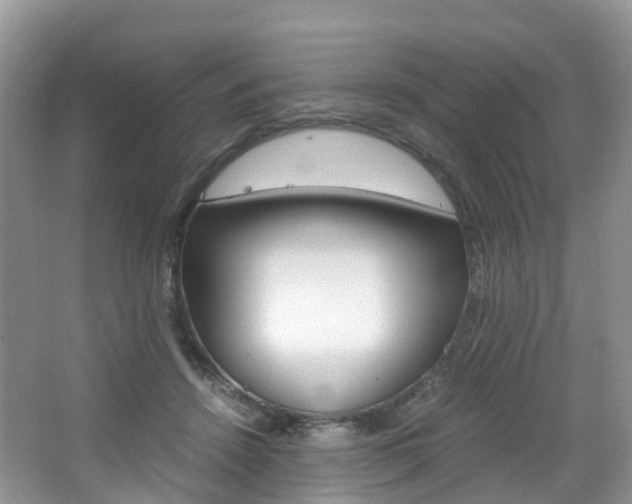 X0000065240456200602170959