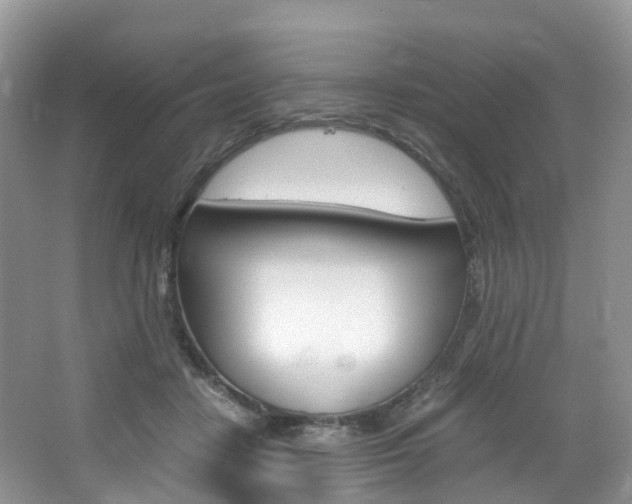 X0000065240458200602170959