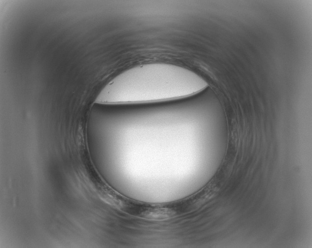 X0000065240459200602170959