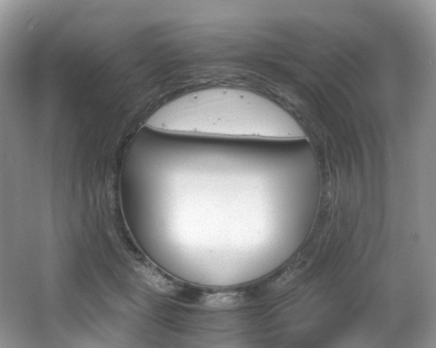 X0000065240461200602170959