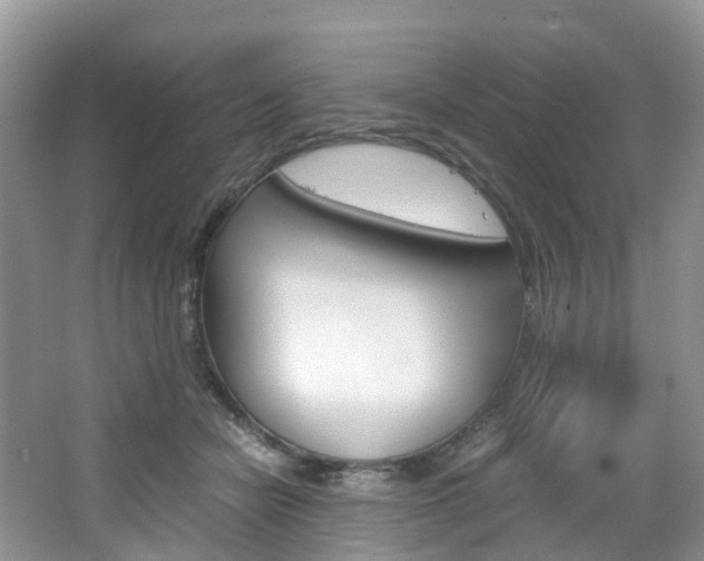 X0000065240462200602170959