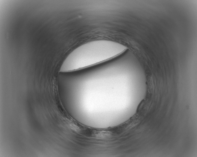 X0000065240463200602170959