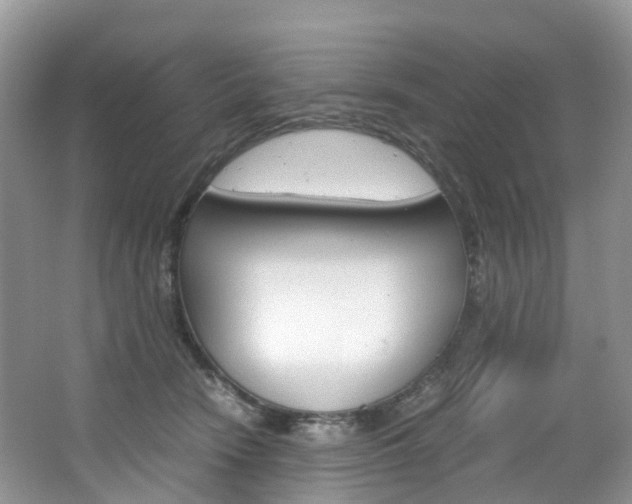 X0000065240466200602170959