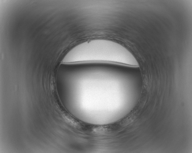 X0000065240470200602170959