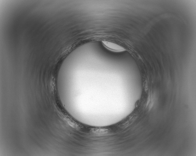 X0000065240476200602170959