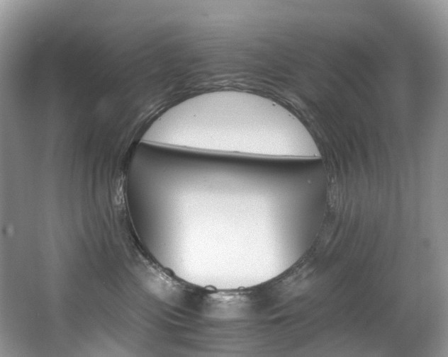 X0000065240477200602170959