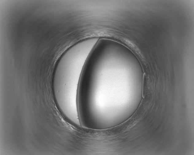 X0000065240481200602170958