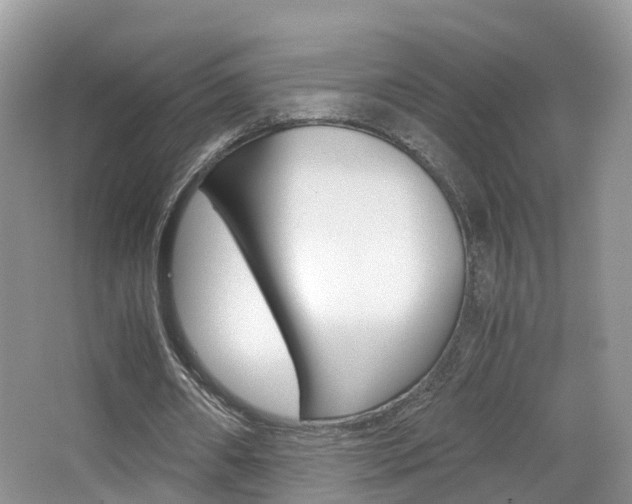 X0000065240482200602170958