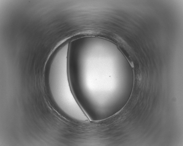 X0000065240484200602170958