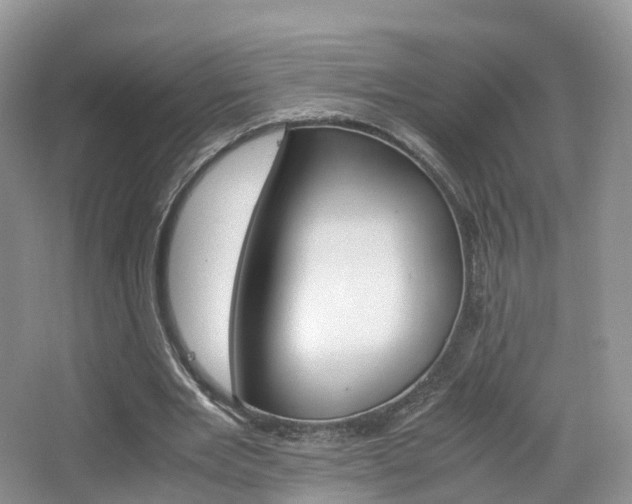 X0000065240485200602170958