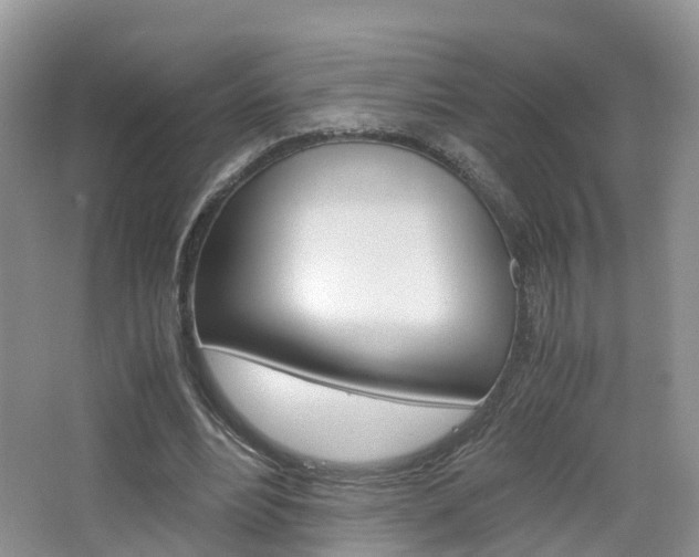 X0000065240488200602170958