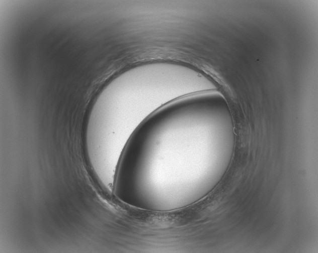 X0000065240489200602170958