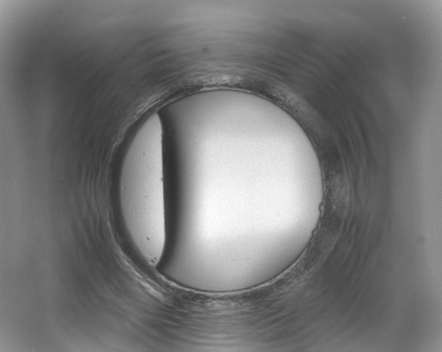 X0000065240490200602170958