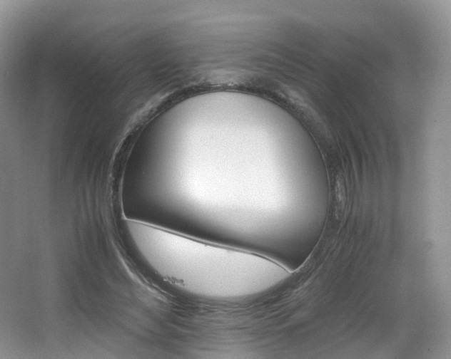 X0000065240492200602170958