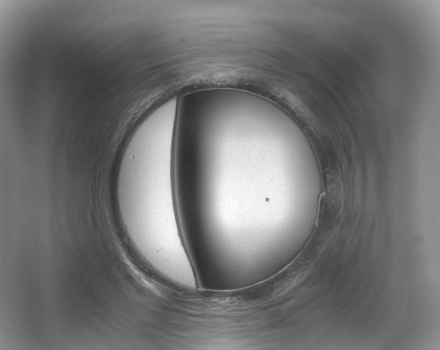 X0000065240493200602170958