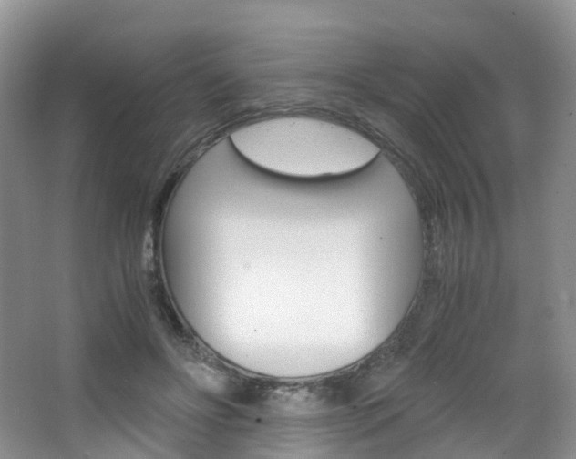 X0000065240502200602170958
