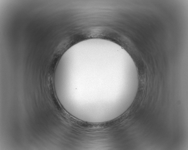 X0000065240503200602170958