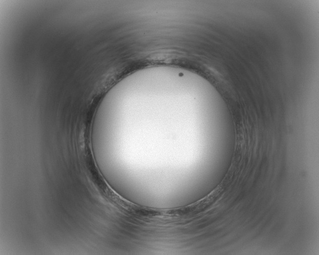 X0000065240504200602170958