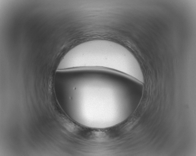 X0000065240509200602170958