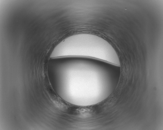 X0000065240512200602170958
