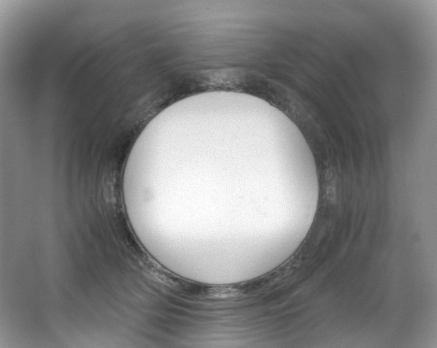 X0000065240514200602170958