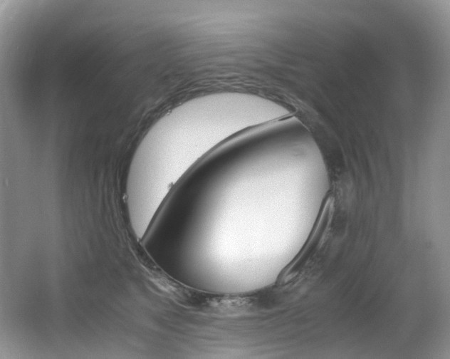 X0000065240517200602170958
