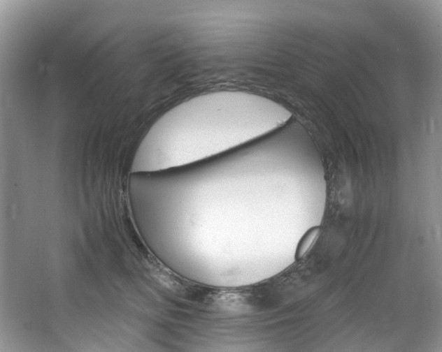 X0000065240518200602170958