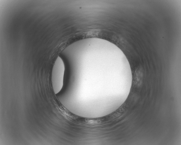 X0000065240522200602170958