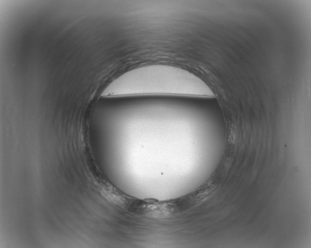 X0000065240524200602170958