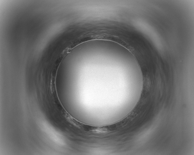 X0000065240525200602170958