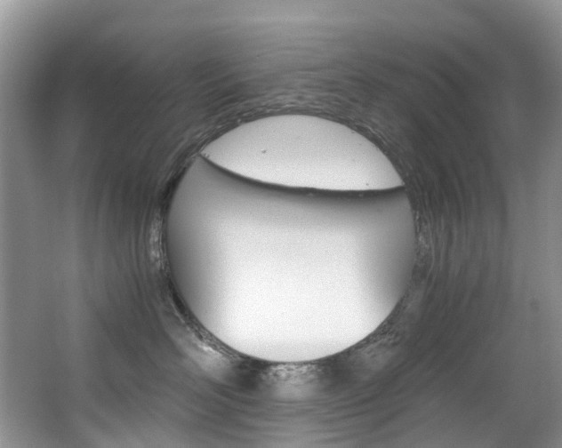 X0000065240526200602170958