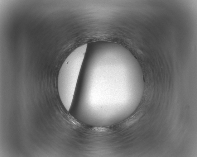 X0000065240528200602170958