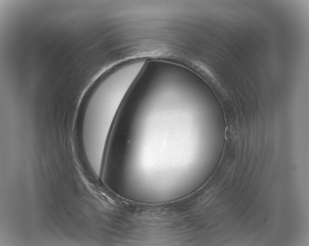 X0000065240532200602170957