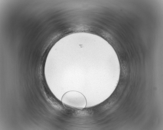 X0000065240534200602170957