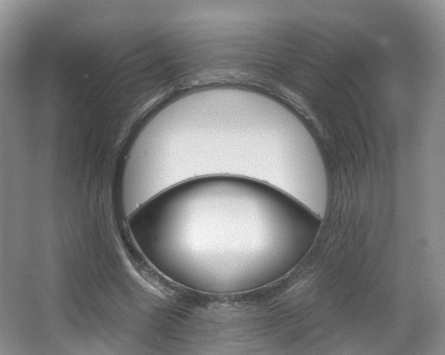 X0000065240538200602170957
