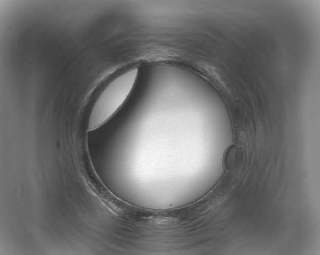 X0000065240539200602170957