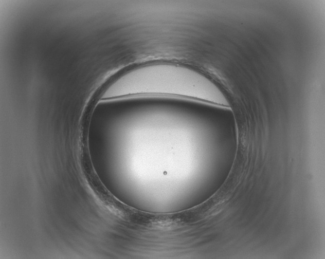 X0000065240540200602170957