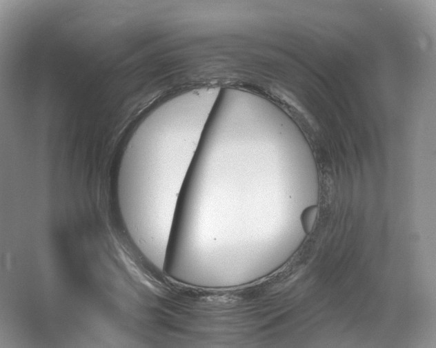 X0000065240541200602170957